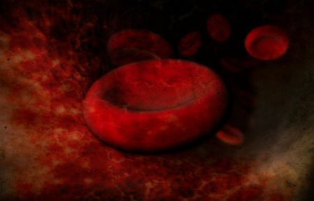 Glóbulos rojos en la sangre