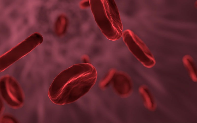 Hematíes: La importancia del recuento de glóbulos rojos