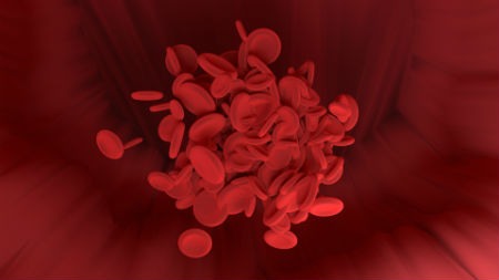 Medir los glóbulos rojos