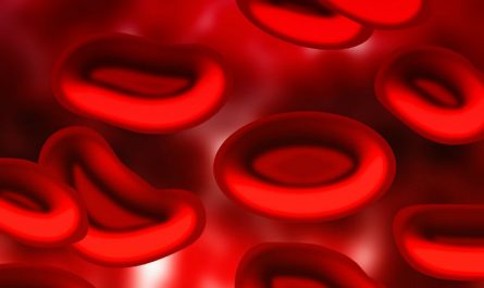 Valores de los glóbulos rojos