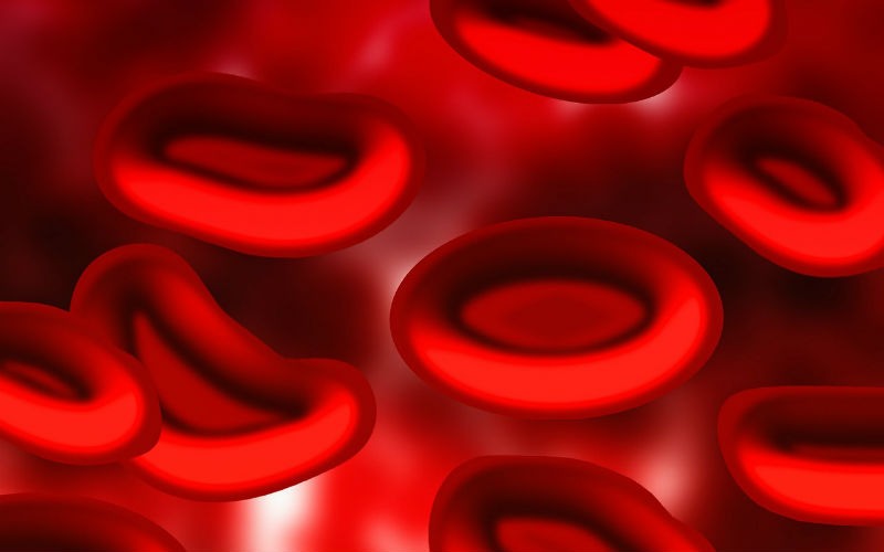 Valores de los glóbulos rojos