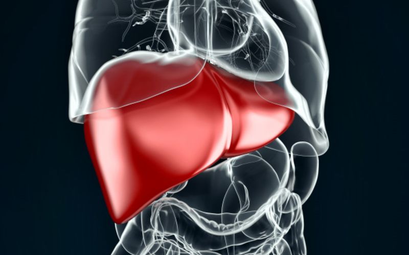 Hígado graso: qué es y cómo eliminar la grasa